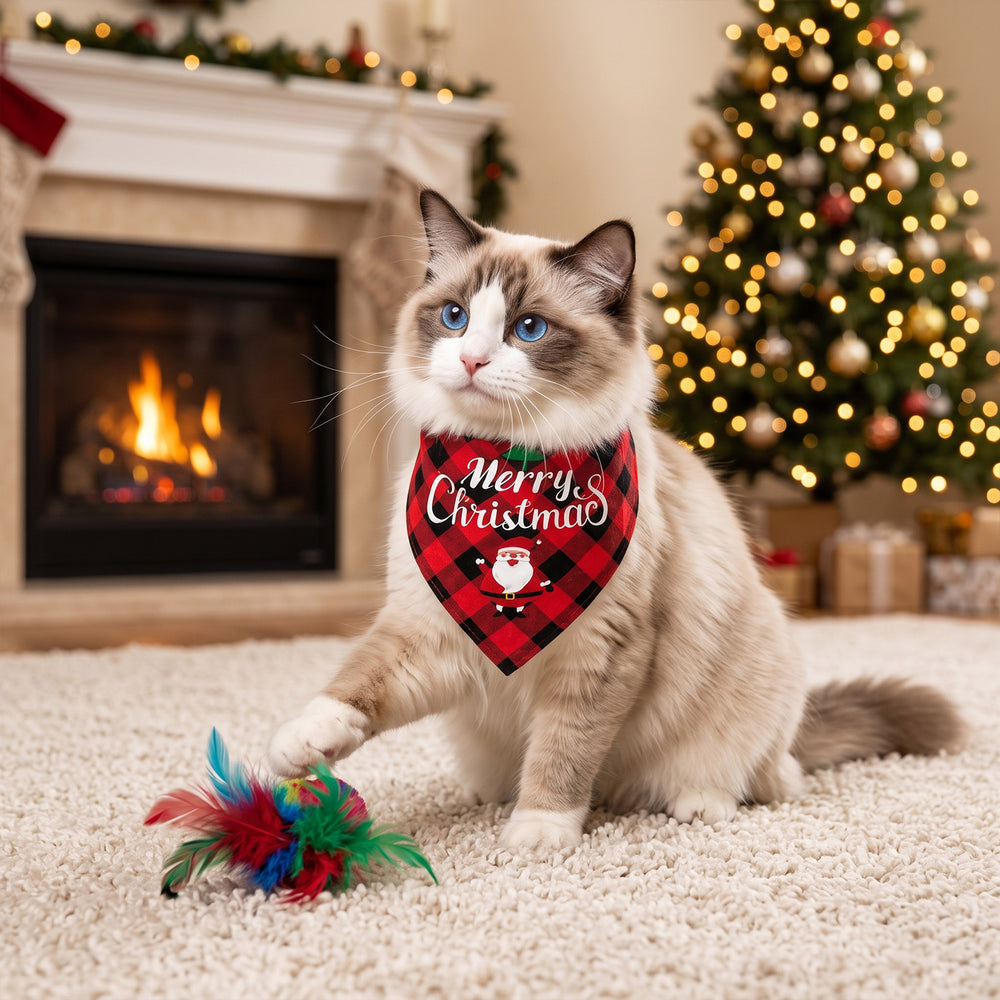 Adventskalender för katter med leksaker