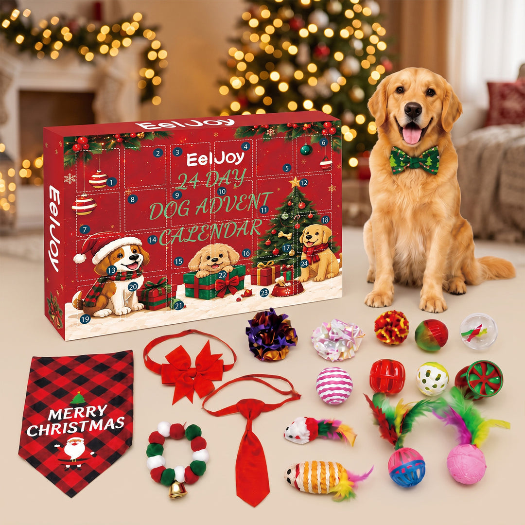 Adventskalender för hundar med leksaker