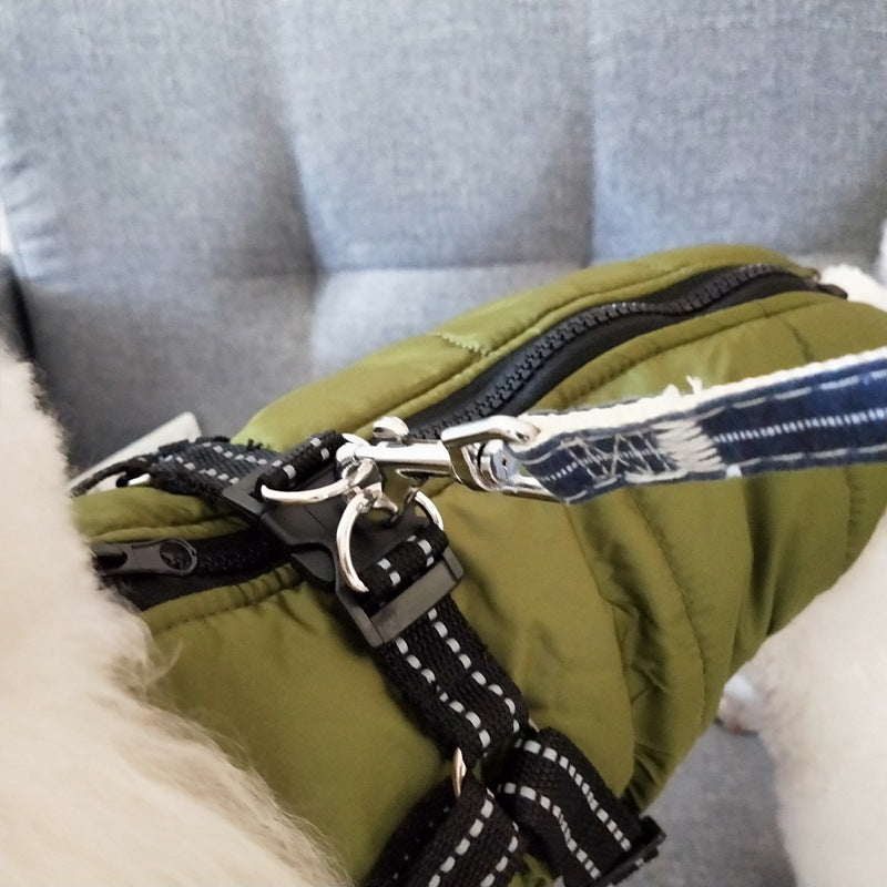 Hund i vadderat hundtäcke med sele