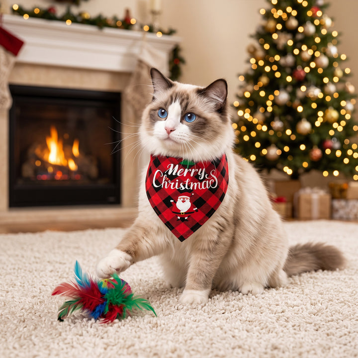 Adventskalender för katter med leksaker