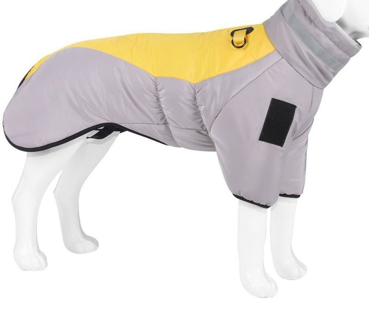 Stor hund i vadderat vintertäcke