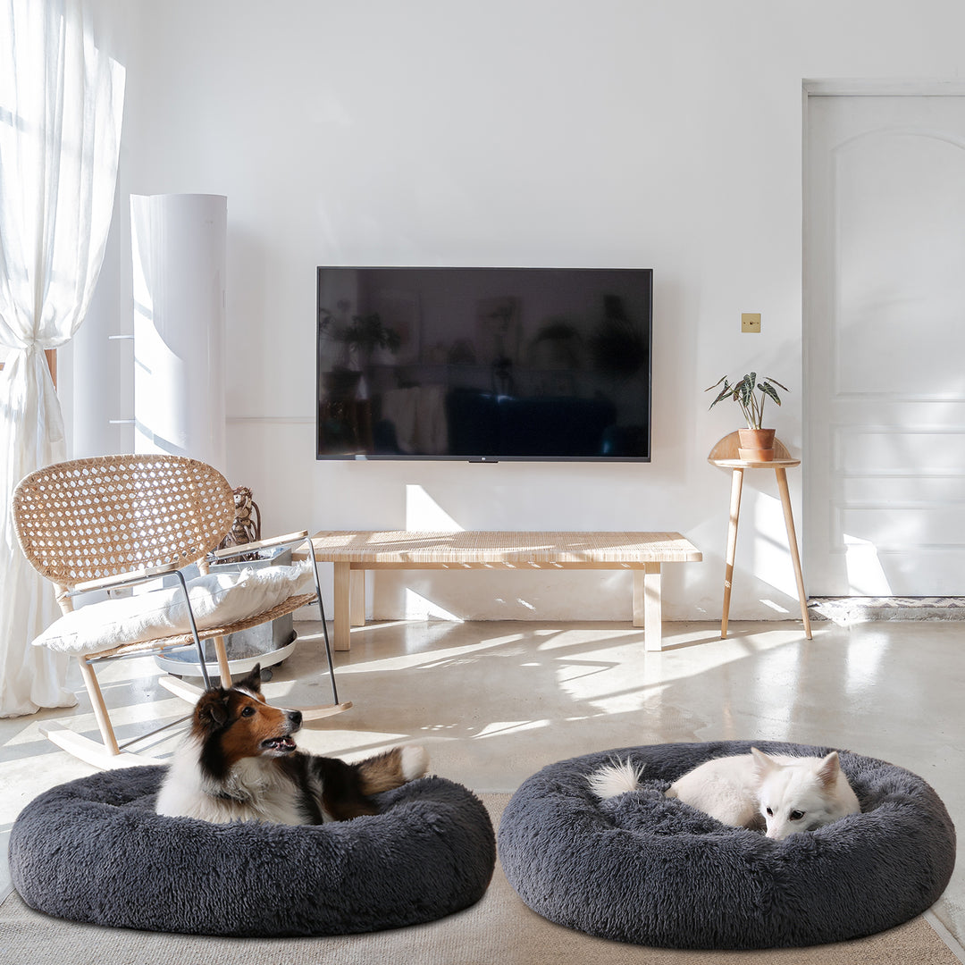 Hund ligger i fluffig rund bädd
